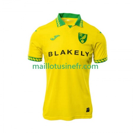 Maillot de Foot Norwich City Domicile 2025-26